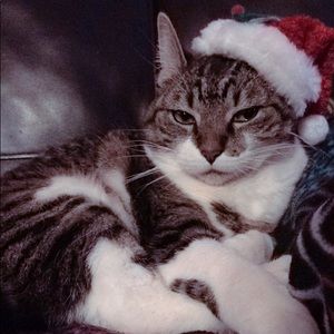 Meet your Posher, Michaela